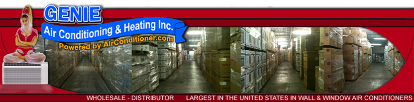 Las Vegas Ductless AC System